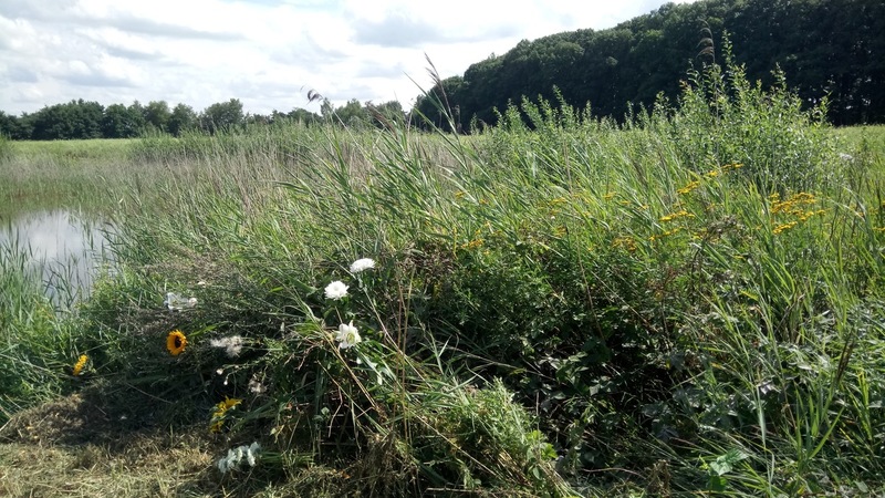 9 aug. 2017 Ad's plekje