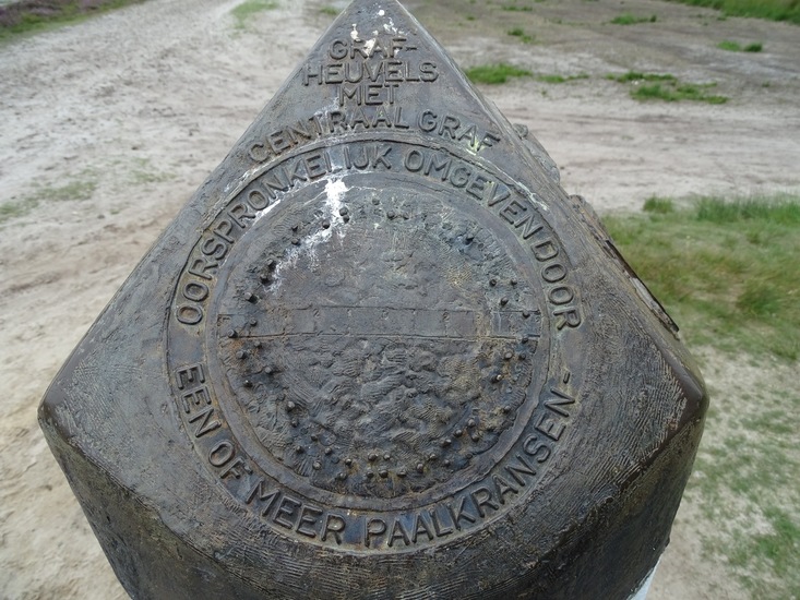 Heide bij Riel/Goirle.