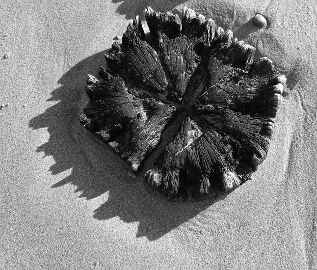 Westkapelle eind juni 2017.