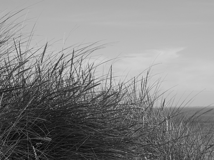 Westkapelle eind juni 2017.