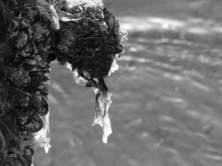 Westkapelle eind juni 2017.