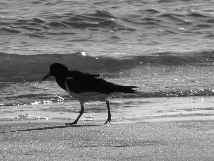 Westkapelle eind juni 2017.