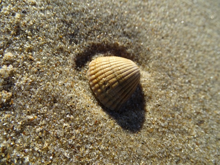 Westkapelle eind juni 2017.