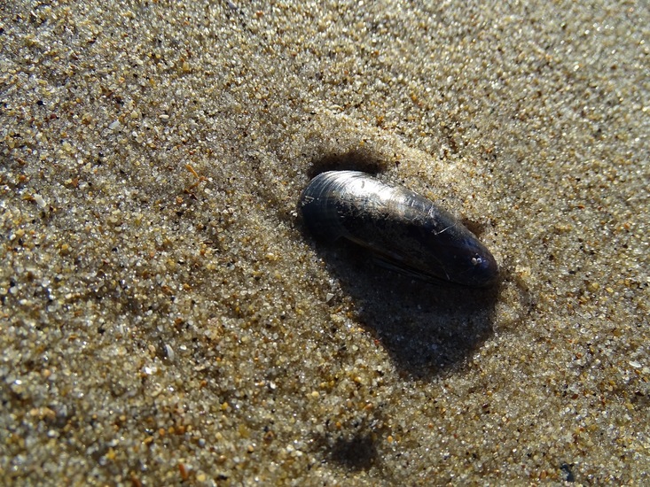 Westkapelle eind juni 2017.