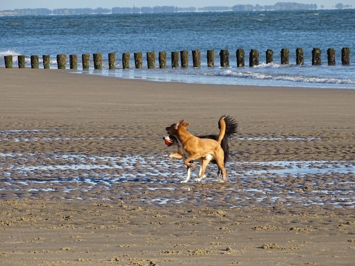 Westkapelle eind juni 2017.