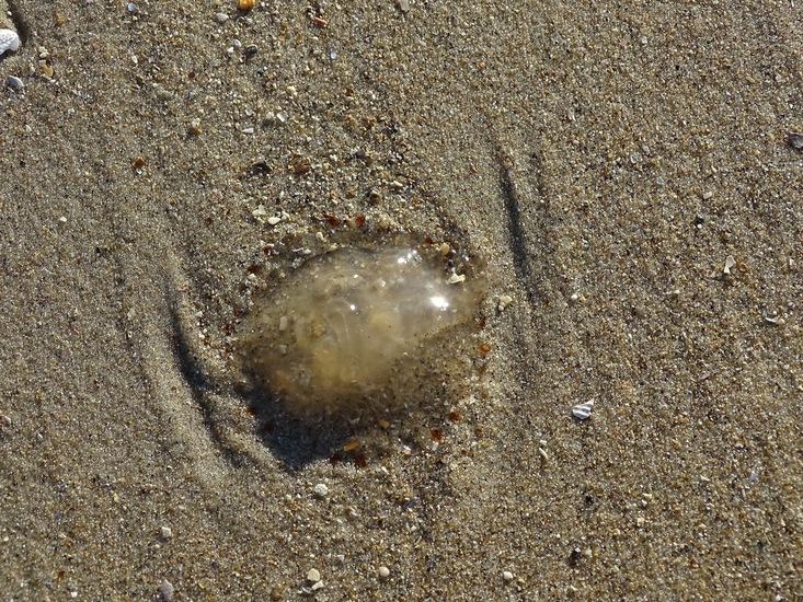 Westkapelle eind juni 2017.