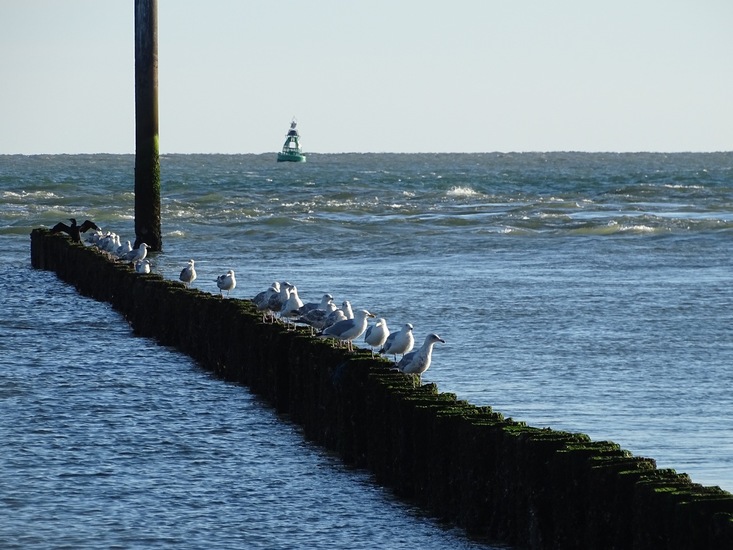 Westkapelle eind juni 2017.