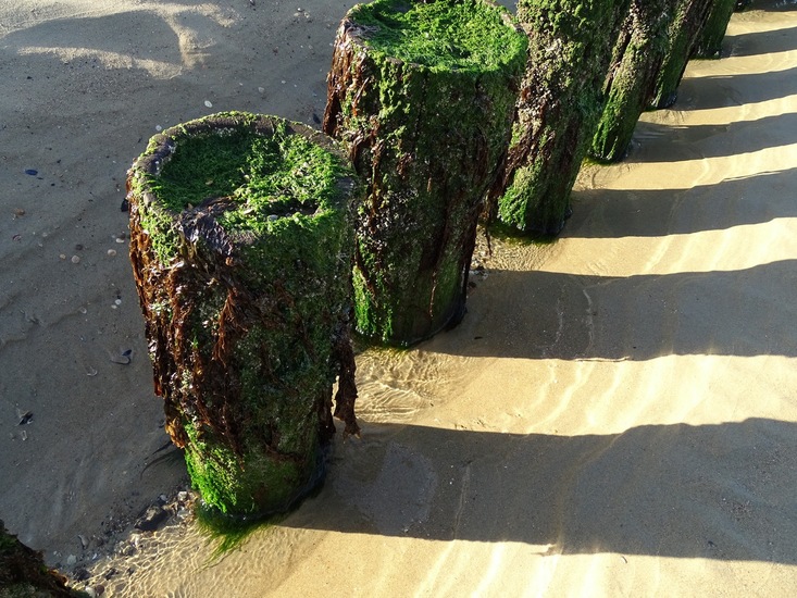 Westkapelle eind juni 2017.