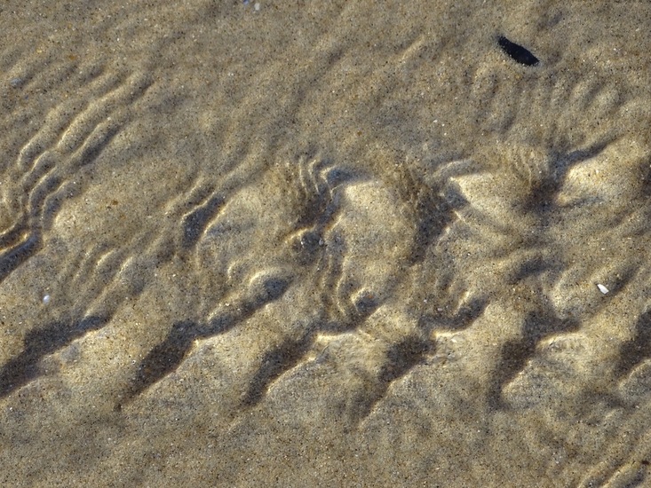 Westkapelle eind juni 2017.