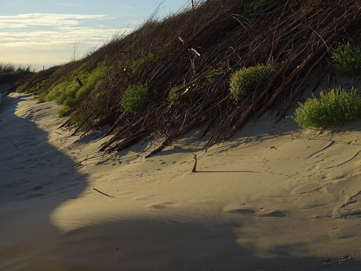 Westkapelle eind juni 2017.