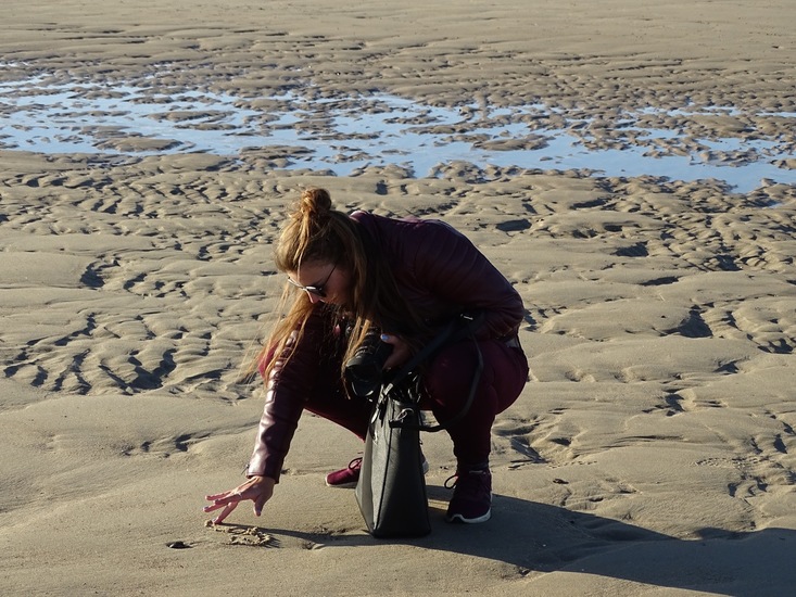 Westkapelle eind juni 2017.