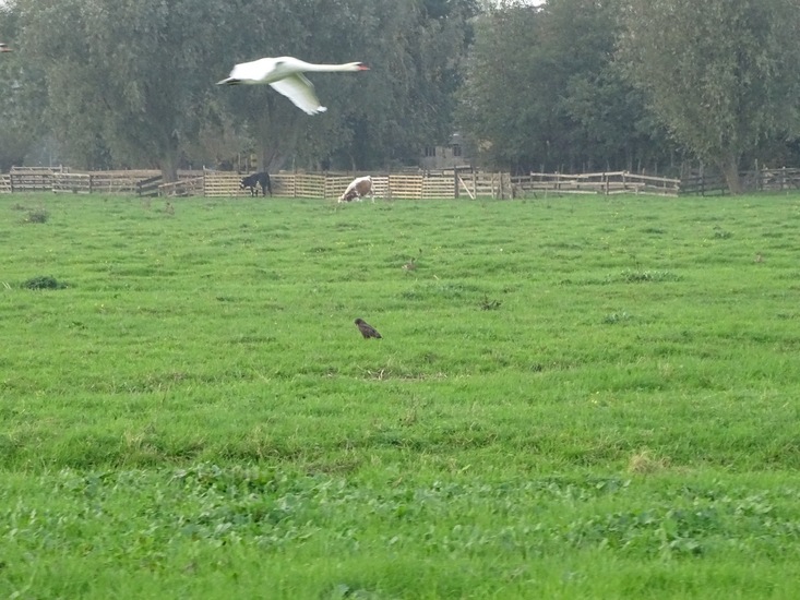 Onderweg Brabant. okt. 2017