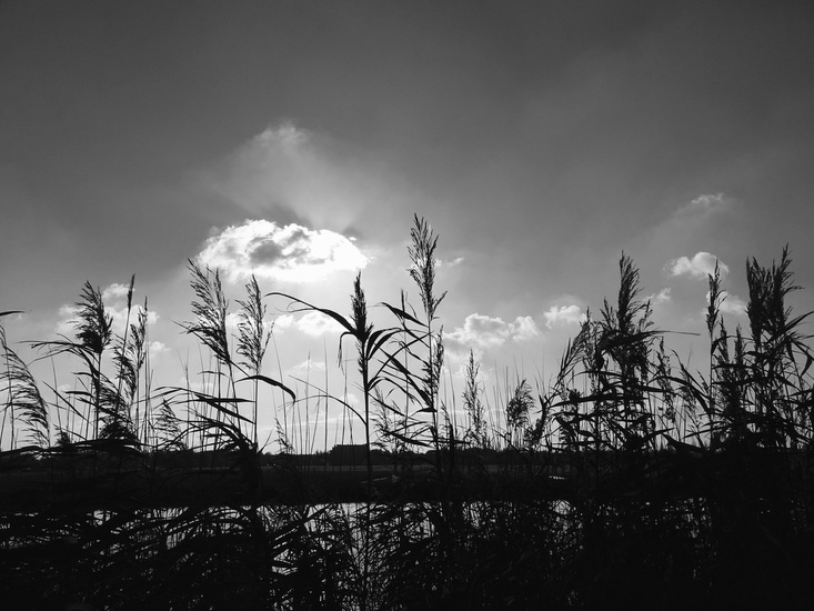 Kinderdijk nov. 2017