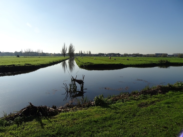 Kinderdijk nov. 2017