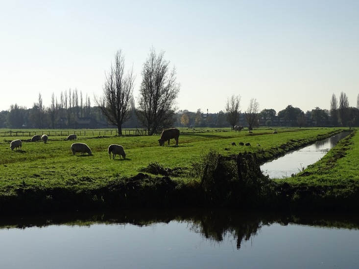 Kinderdijk nov. 2017