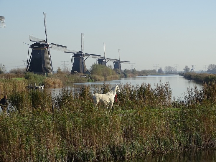 Kinderdijk nov. 2017