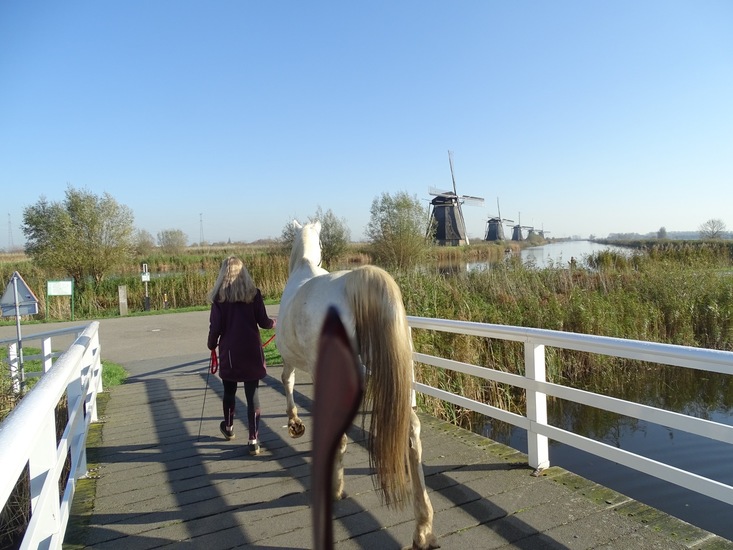 Kinderdijk nov. 2017