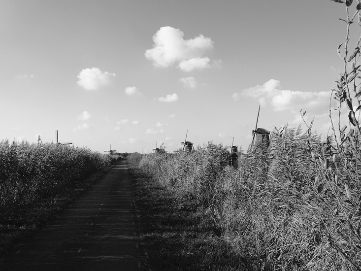 Kinderdijk nov. 2017