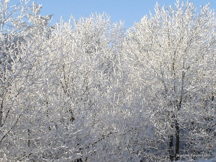 Lang geleden met oud fototoestel.