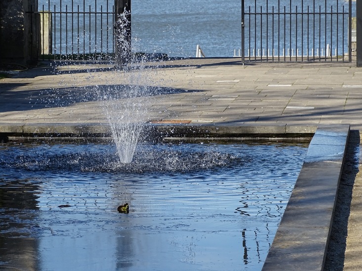 Villa Augustus, Dordrecht.
