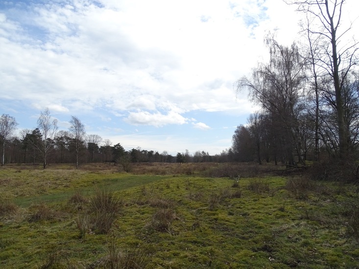 Surae 2018 begin april.