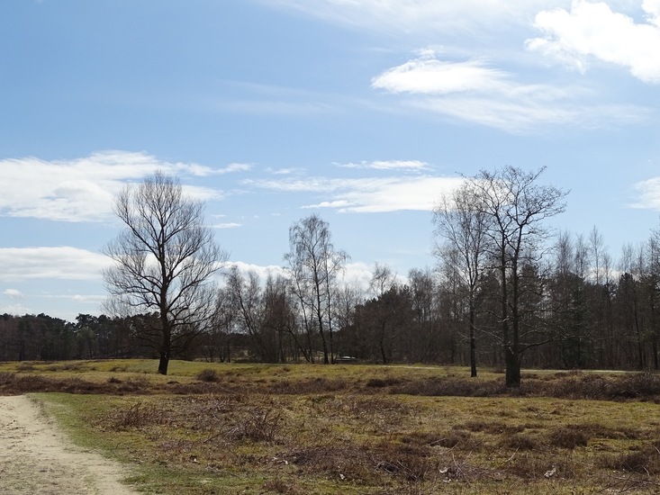 Surae 2018 begin april.