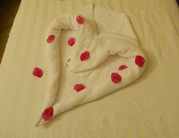 Tree Corner El Gouna 2018