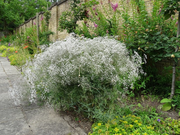 St. Catharinadal 2018