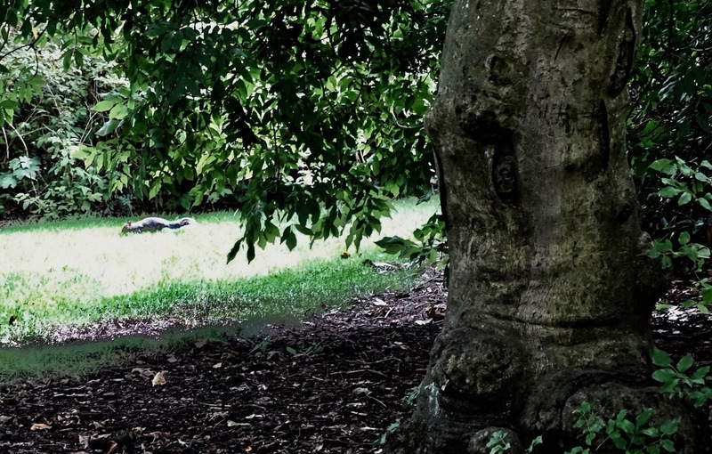 Royal Botanic Garden