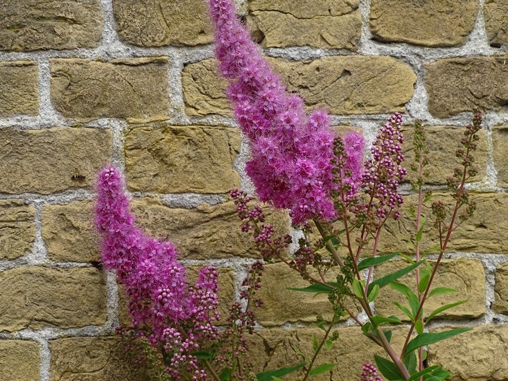 Buiten 2018 Oosterhout klooster