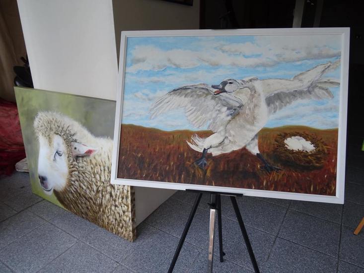 Etalage Raadhuisplein