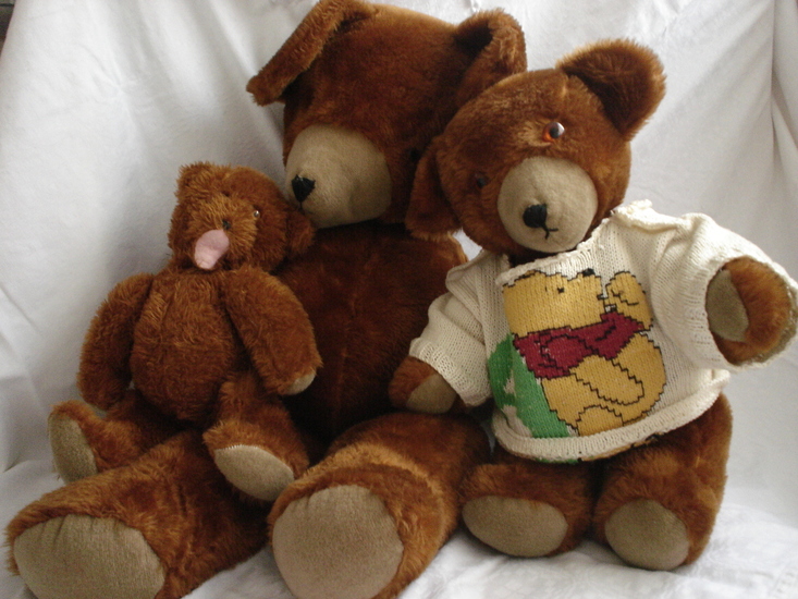 Bruine Beren familiie