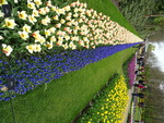 Keukenhof 2019