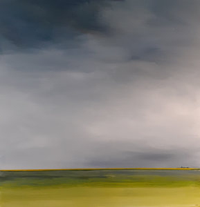 Een aantal van mijn min of meer abstracte landschappen.