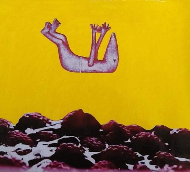 Outsider art :' Drop your self in a sea of raspberries!'