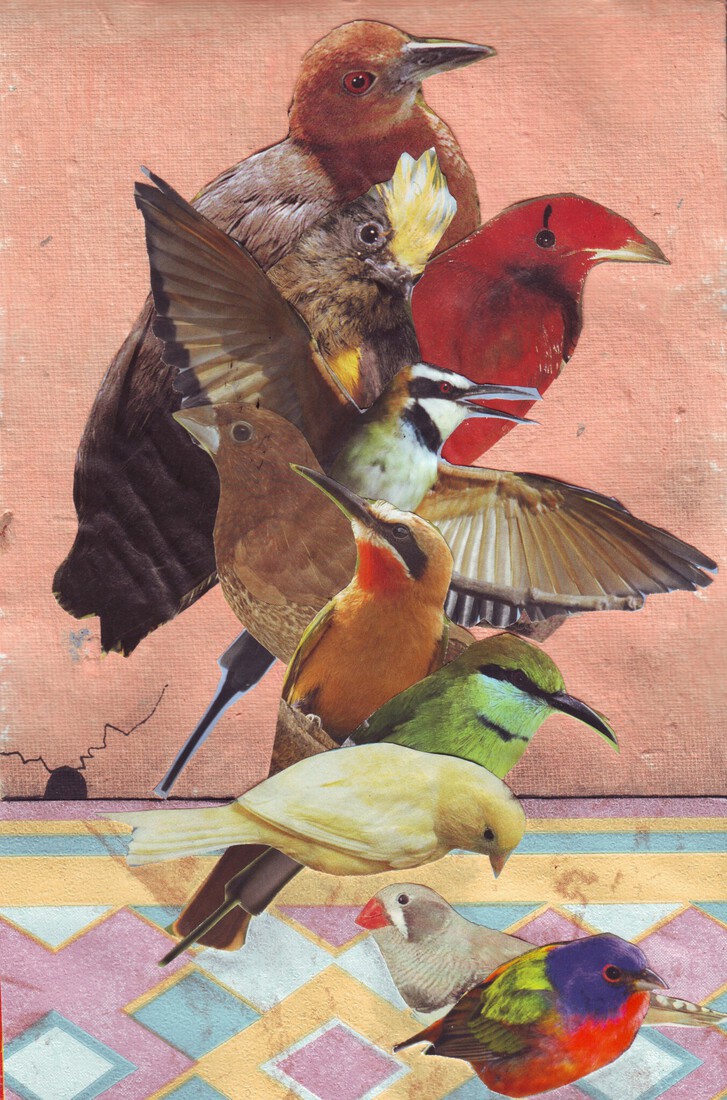 Outsiderart: Collage nr. 178 'Birds in the hallway.'