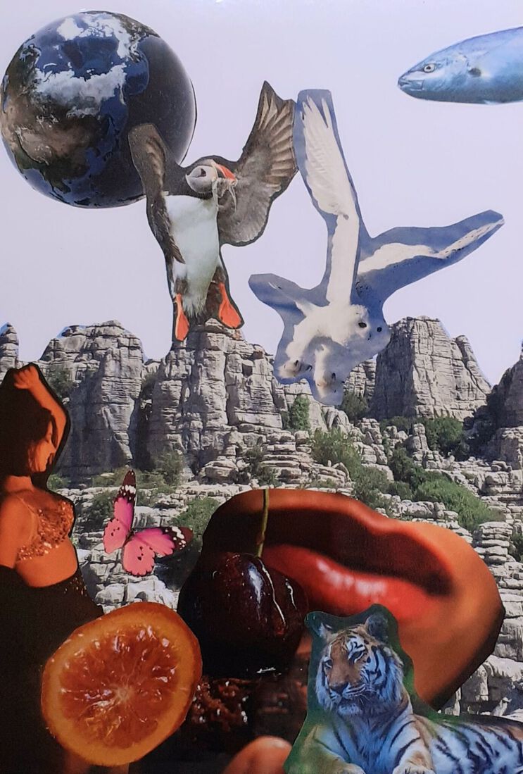 Outsiderart: Collage nr.1263 : Keep your butterfly fresh.
