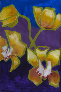 Alles wat groeit en bloeit