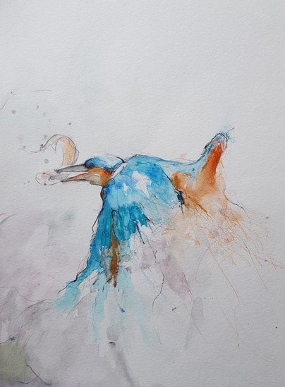 kingfisher I