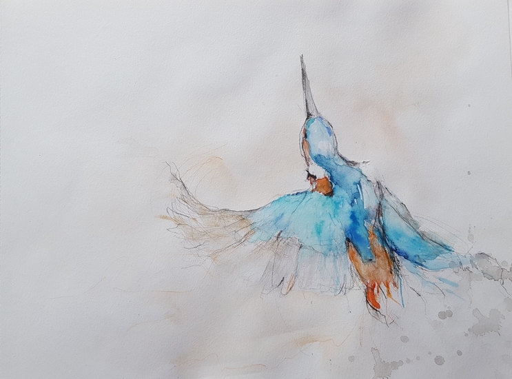 kingfisher II