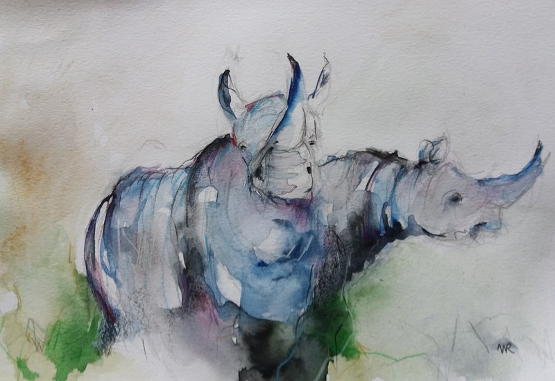 Neushoorn
