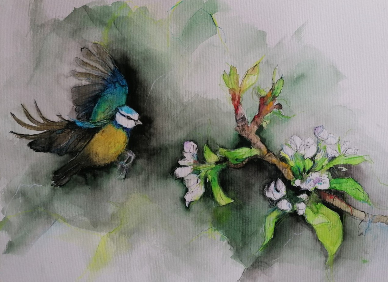 Spring is in the air