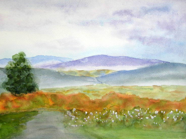 de Shenandoah overzicht 1