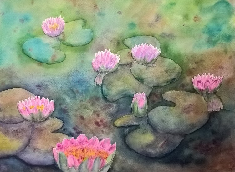 waterlelies 5
