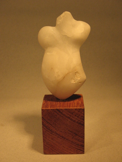 Torso mini