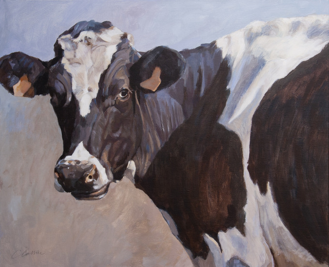 Prim`Holstein - koe