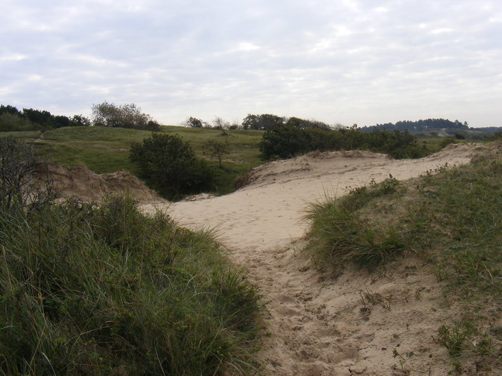Amsterdamse Waterleiding Duinen