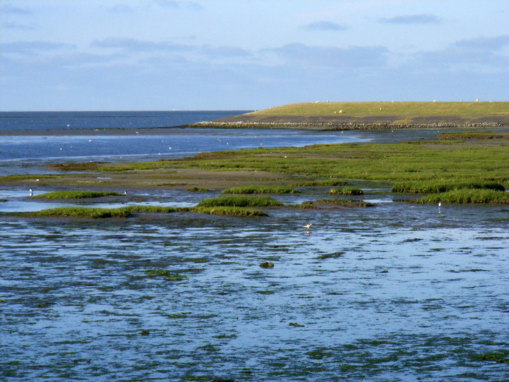 Aan het wad