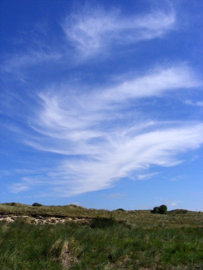 Windveren boven het duin