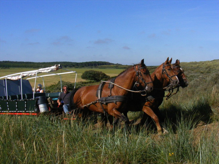 Met de huifkar
